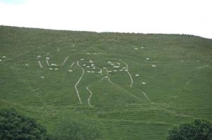 The Giant as I found him, lines fading, and dotted with sheep, who are clearly no respecters of persons